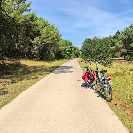 Flori Дом отдыха *